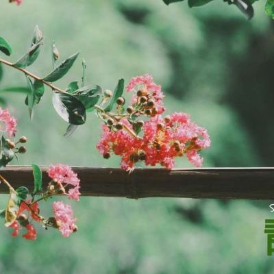 BET9登录APP手机app下载