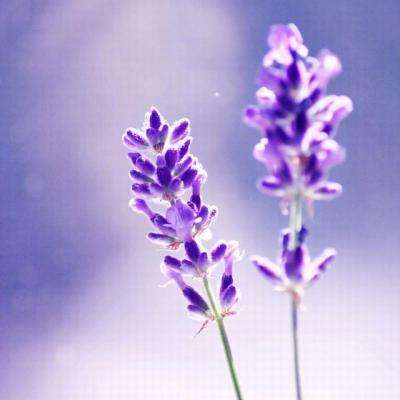 斗牛棋牌app下载