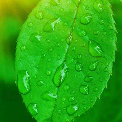 半岛·综合体育下载